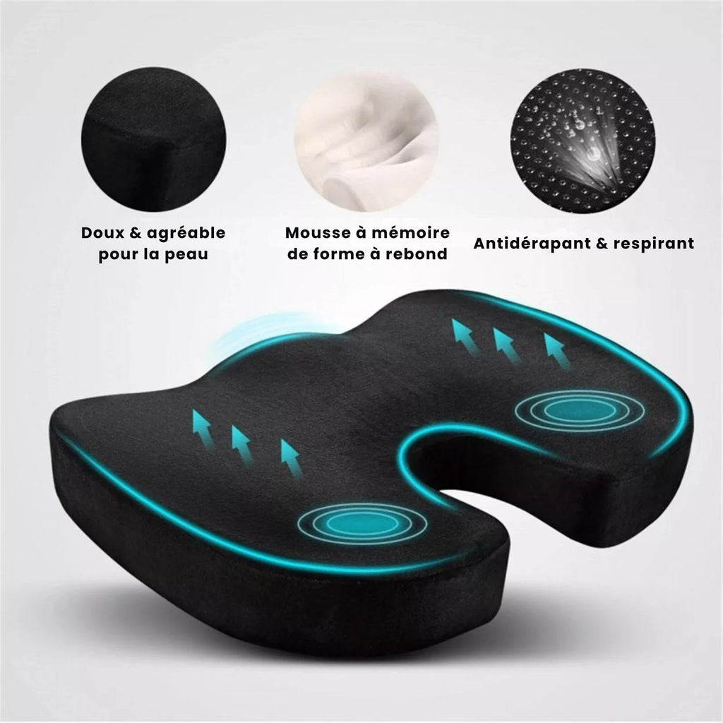 SpinaMax™ - Coussin de Soutien Dorsal + Oreiller Lombaire OFFERT